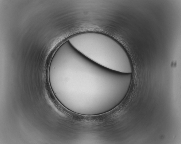 X0000111620630200907171105