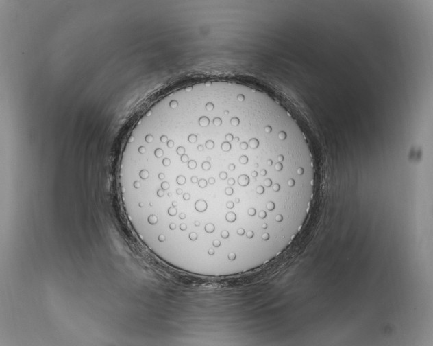 X0000111620635200907171105