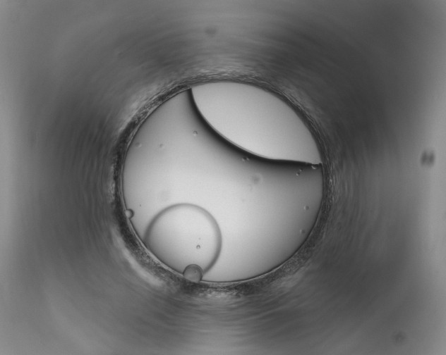 X0000111620638200907171106