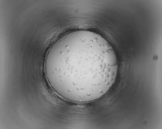 X0000111620639200907171106