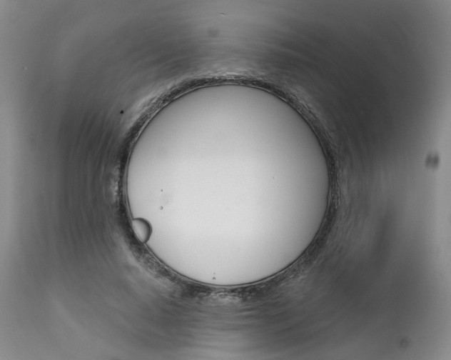 X0000111620640200907171106