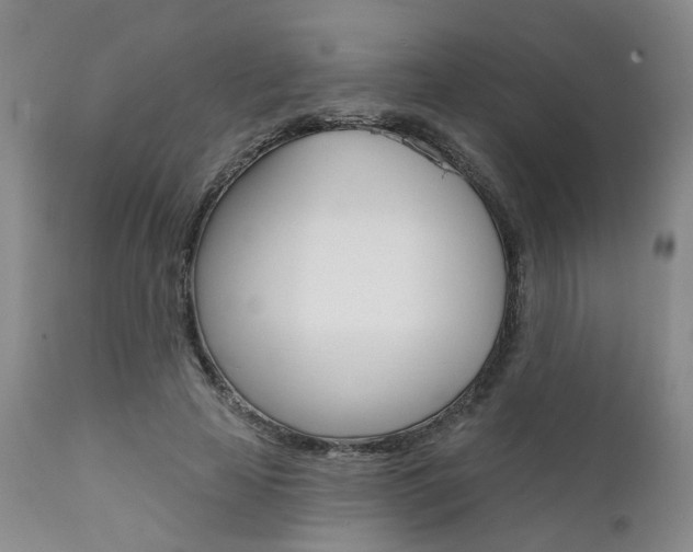 X0000111620641200907171106