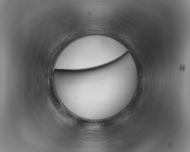 X0000111620643200907171106