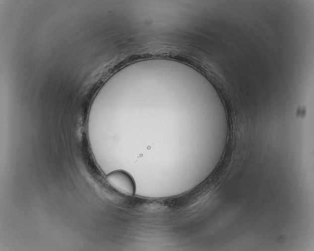 X0000111620644200907171106