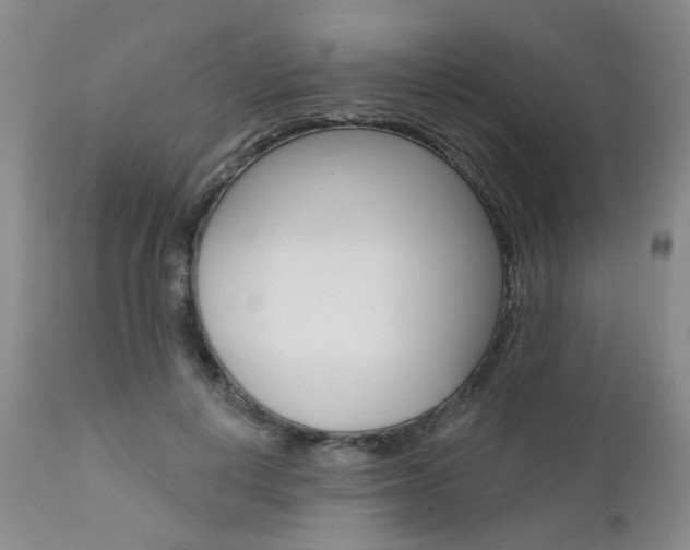 X0000111620648200907171106
