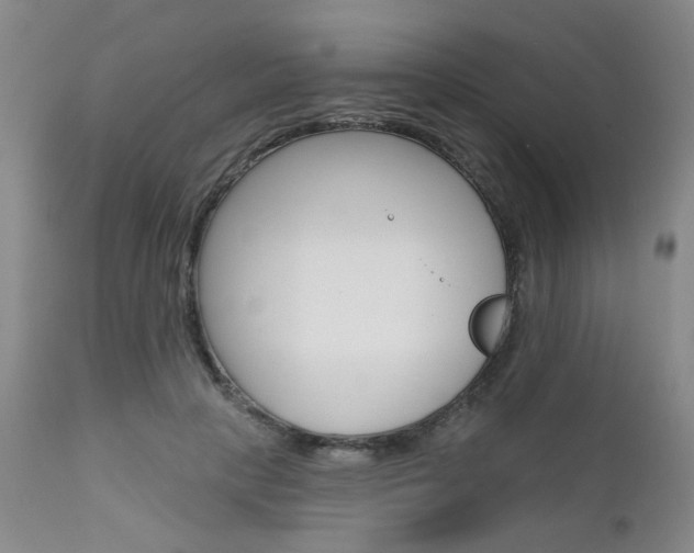 X0000111620649200907171106