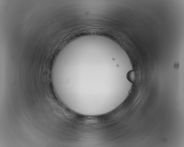 X0000111620653200907171106