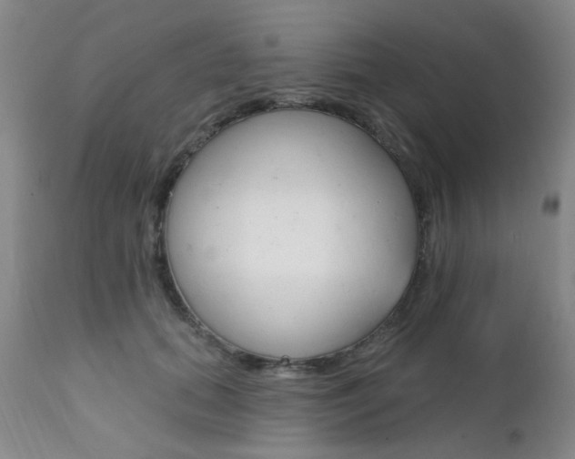 X0000111620655200907171106