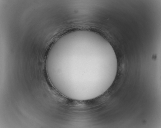 X0000111620658200907171106