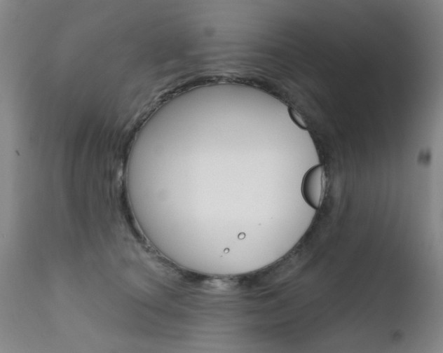 X0000111620660200907171106