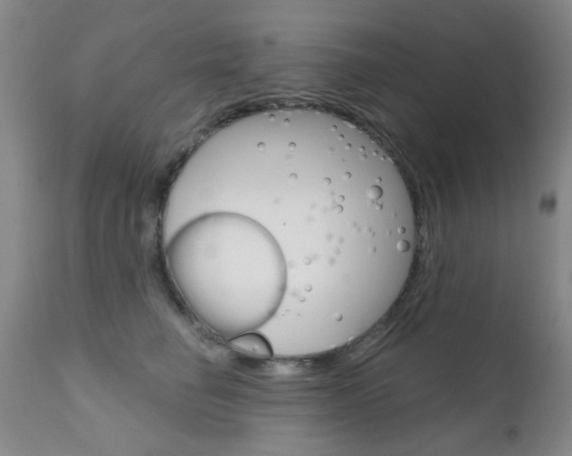 X0000111620662200907171106