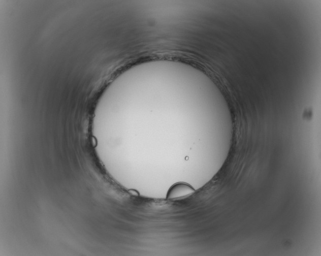 X0000111620668200907171106