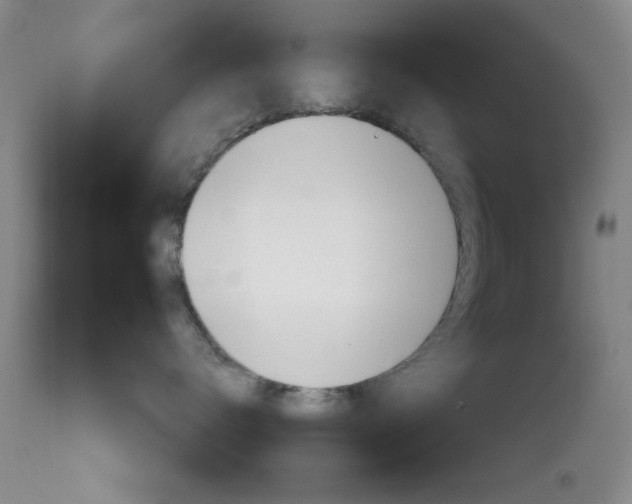 X0000111620672200907171106
