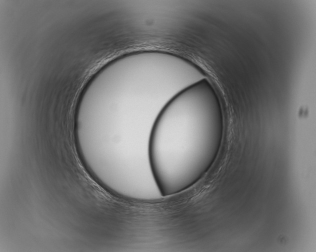 X0000111620673200907171105