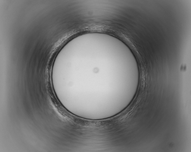 X0000111620674200907171105