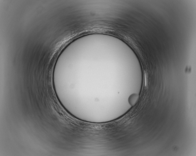 X0000111620675200907171105