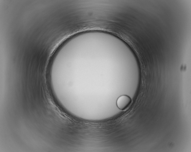X0000111620676200907171105