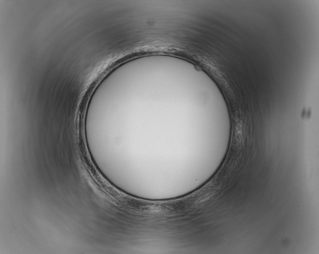 X0000111620678200907171105