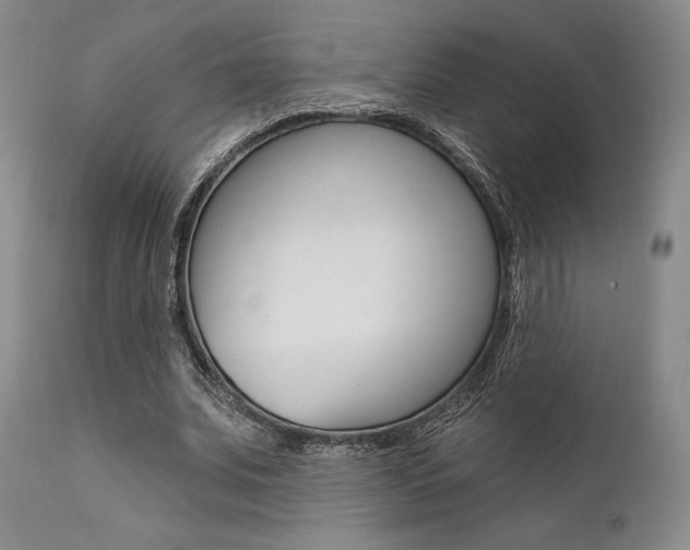 X0000111620679200907171105
