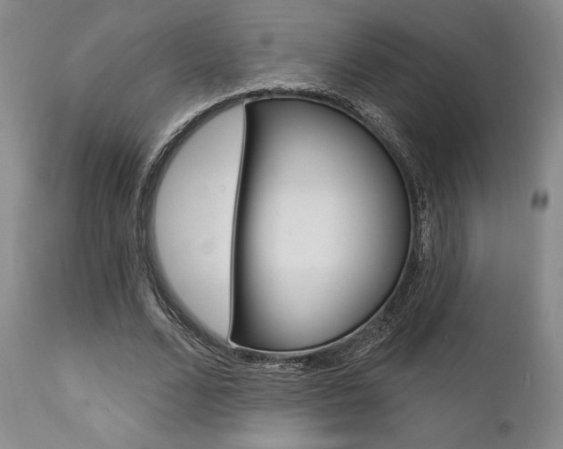 X0000111620680200907171105