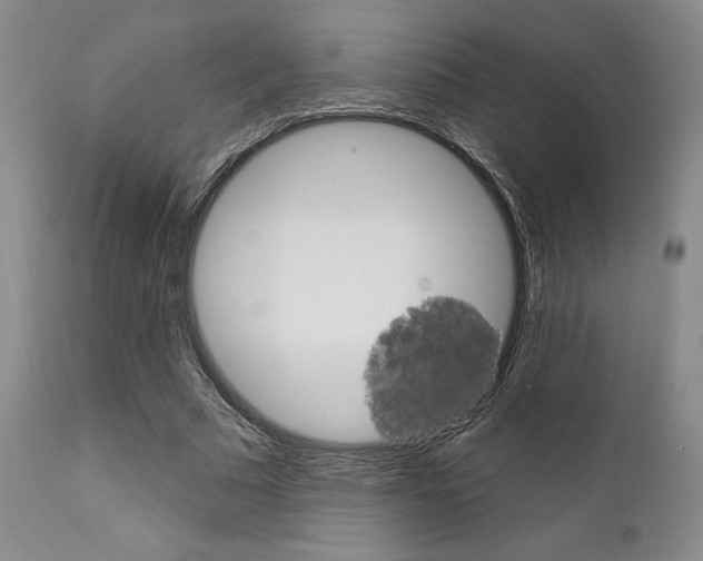 X0000111620681200907171105