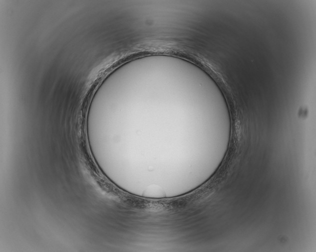 X0000111620682200907171105