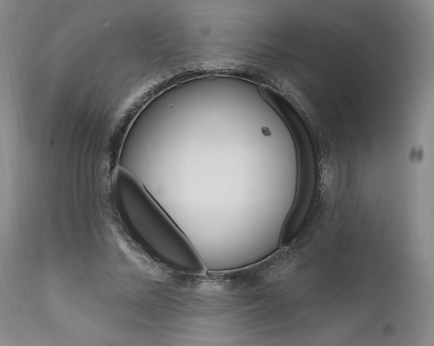X0000111620684200907171105