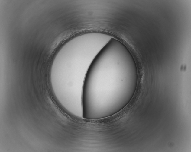 X0000111620685200907171105