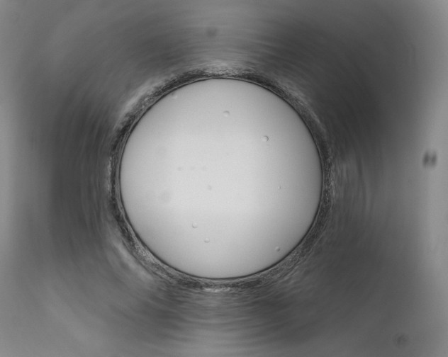 X0000111620686200907171105