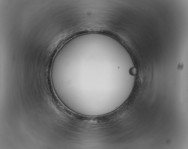 X0000111620687200907171105