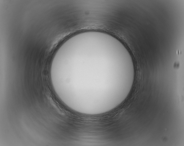 X0000111620688200907171105