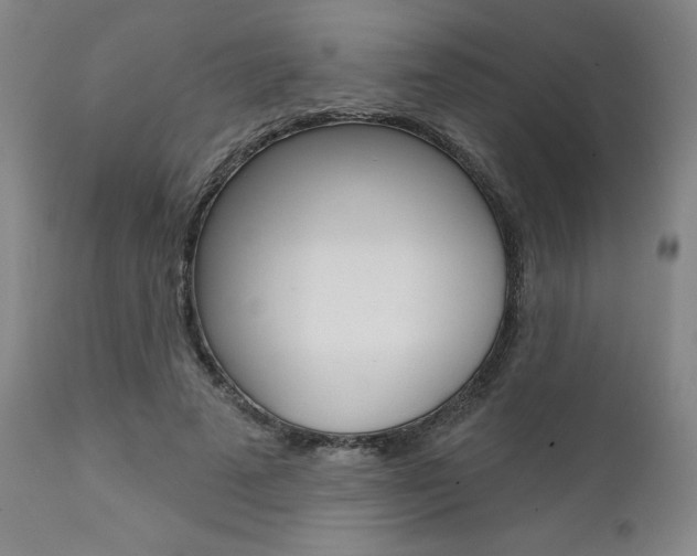 X0000111620689200907171105