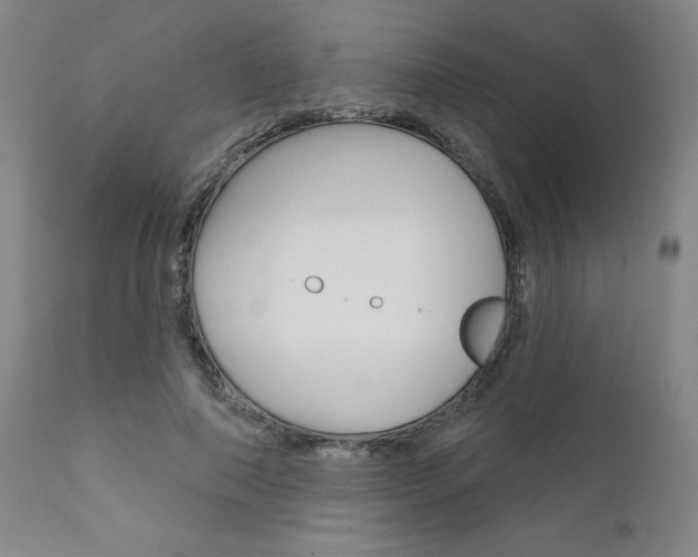 X0000111620690200907171105
