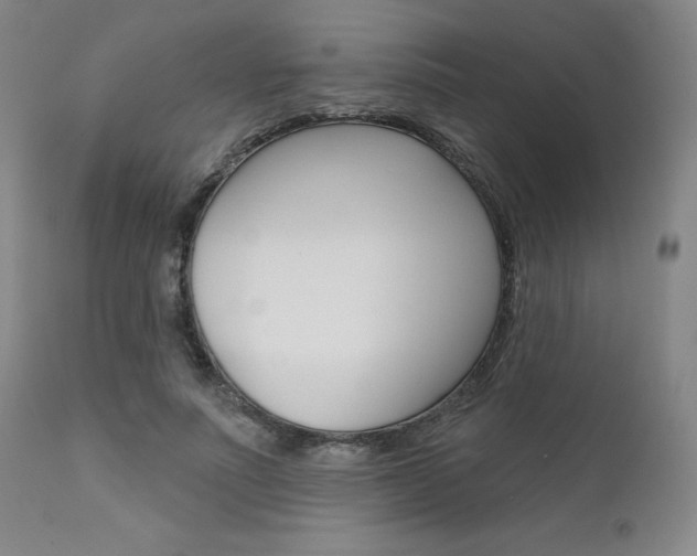 X0000111620691200907171105