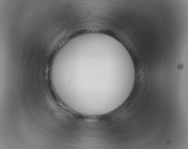 X0000111620694200907171105