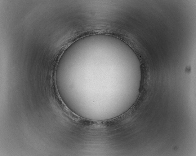 X0000111620696200907171105