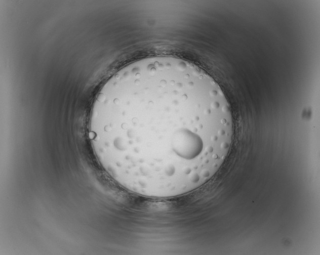 X0000111620698200907171105