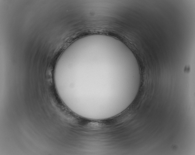 X0000111620699200907171105
