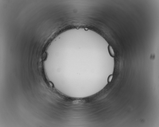 X0000111620700200907171105