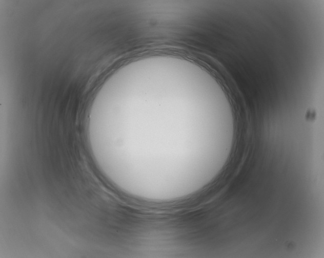 X0000111620701200907171105