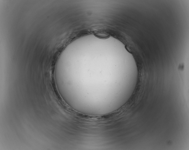 X0000111620703200907171105