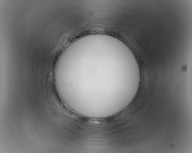 X0000111620706200907171105