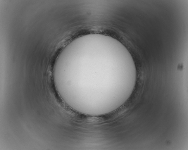 X0000111620707200907171105