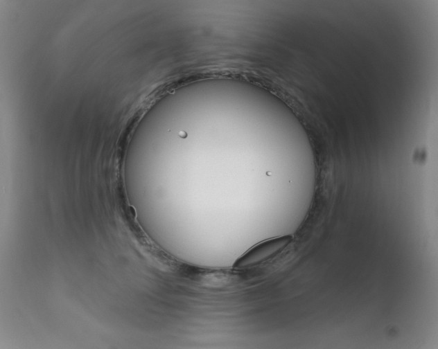 X0000111620708200907171105