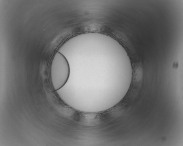 X0000111620709200907171105