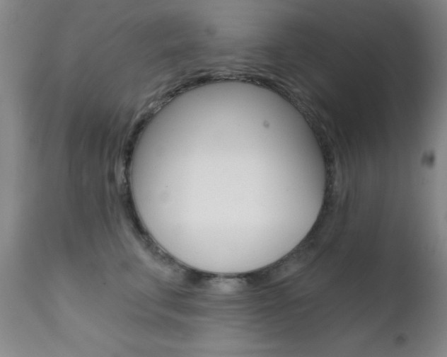 X0000111620711200907171105