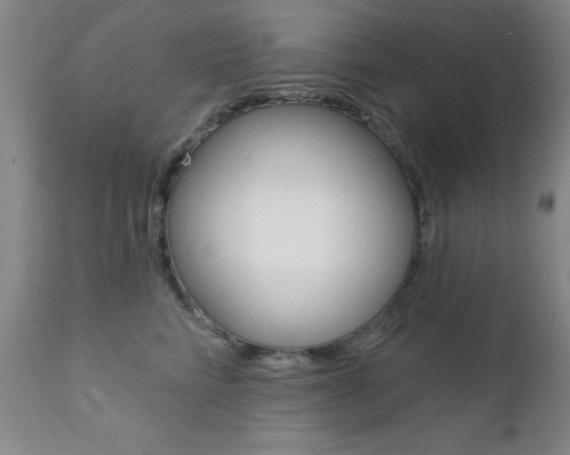 X0000111620712200907171105
