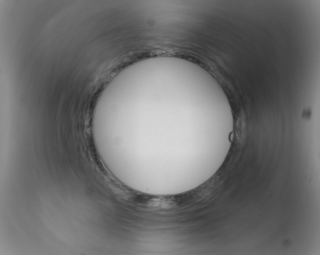X0000111620714200907171104