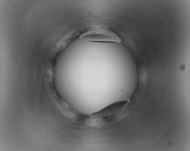 X0000111620716200907171104