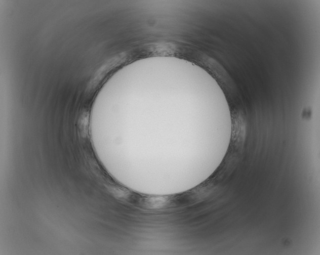 X0000111620717200907171104